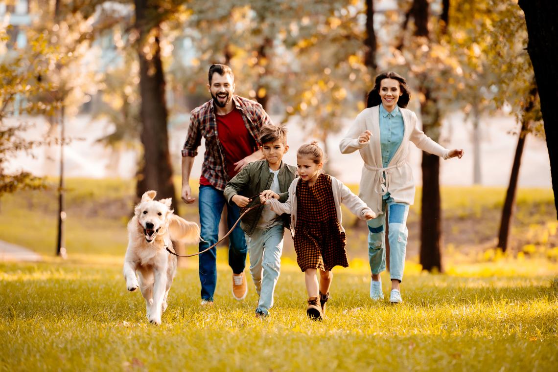 Rodzina z psem na spacerze - pomoc prawna w ustaleniu opieki rodzicielskiej